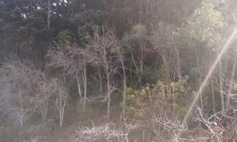 Imagem 3: Ótima Chácara com 10,3 Alqueires na Serra da Mantiqueira em Marmelópolis/MG