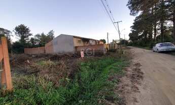 Imagem 5: Porto Alegre - Terreno Padrão - Lageado