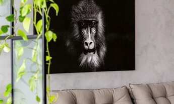 Imagem 4: APARTAMENTO - MOOCA - SP