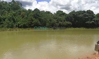 Imagem 7: Ótima fazendinha de 15 ha em São Tiago MG muito bem montada e preparada