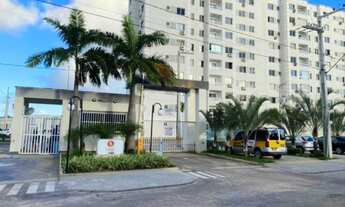 Imagem: Alameda dos ipês ((