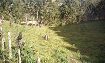 Imagem 5: Ótima Chácara com 10,3 Alqueires na Serra da Mantiqueira em Marmelópolis/MG