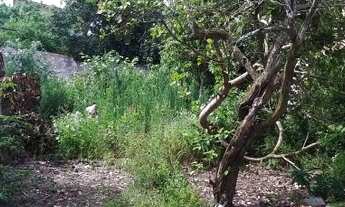 Imagem 4: Terreno todo murado, medindo 360 M², Jardim Morada da Aldeia