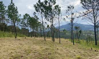 Imagem 3: Compre um terreno direto com o proprietário