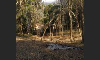 Imagem 5: Ibiúna - Terreno Padrão - Paruru