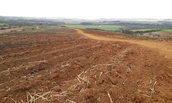 Imagem 3: Fazenda 46 Alqueires, Região de Piracicaba-Sp
