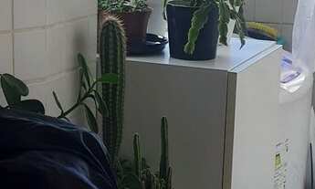 Imagem 3: Apartamento em piedade, somente venda. Edificiio morada do Himalaia