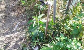 Imagem 4: Vende se terreno agua luz