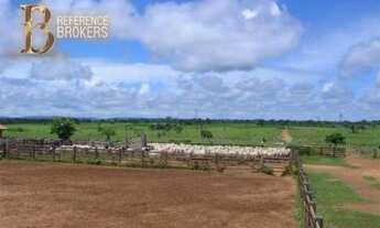 Imagem: Excelente fazenda pecuária com 149 mil