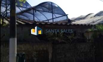 Imagem 2: Ótimo Terreno em Sato Amaro