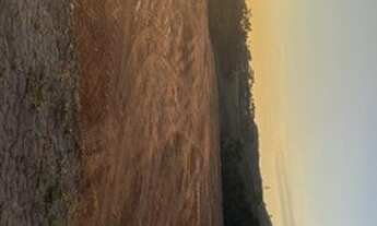 Imagem 6: Lindos lotes pra sua chácara