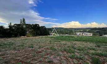 Imagem 3: TERRENO RS 324 - 1 HA