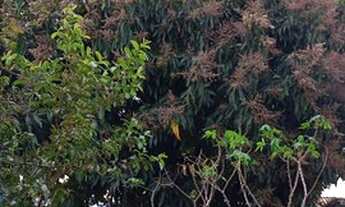 Imagem 7: Casa Casa com 3 dormitórios