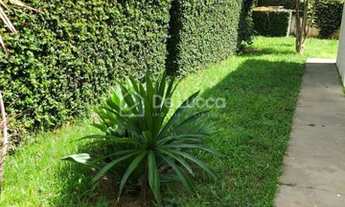 Imagem 6: Casa - Cambuí - Campinas