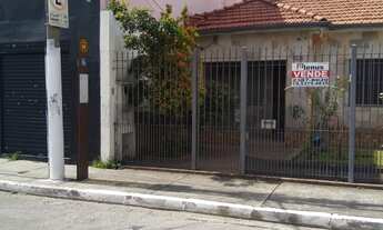 Imagem 3: CASA C/3 DORMITÓRIOS, 3 VAGAS, AMPLO QUINTAL COM MUITO VERDE, AO LADO DA AV. ERMANO MARCHE