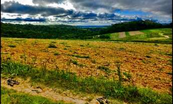 Imagem 1: 14-o Terreno a vista muito linda