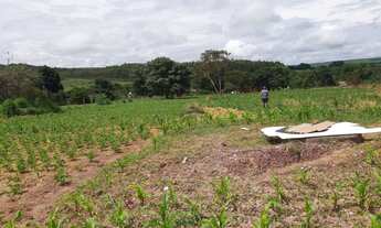 Imagem: Chácara de 5.000 Metros na Nova Petrópolis