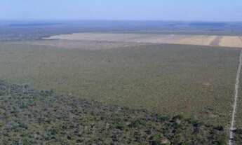 Imagem: FAZENDA DE SOJA 44.000 HECTARES 17.000 EM