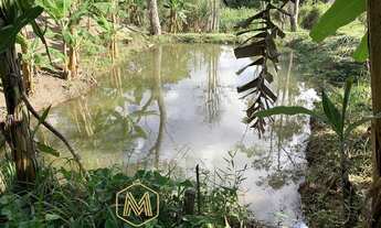Imagem 4: Fazenda/Sítio/Chácara para venda com 12000 metros quadrados com 3 quartos
