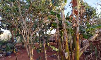 Imagem 7: Chácara em Bonfinópolis 1500mt - vendo urgente