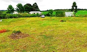 Imagem 1: Excelente Chácara Sem Benfeitorias