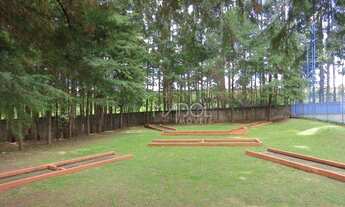 Imagem 6: Terreno Residencial à venda, Orfãs, Ponta Grossa -