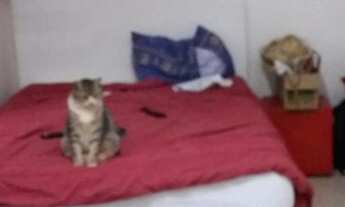 Imagem 7: Excelente Casa no riacho fundoII com 4 Quartos