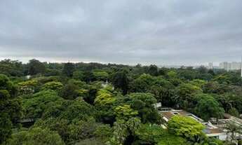 Imagem 4: APARTAMENTO - ALTO DA BOA VISTA - SP