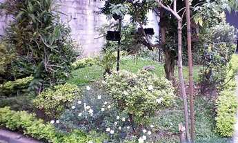 Imagem 4: CASA TÉRREA - VILA LEOPOLDINA - SP