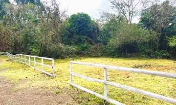 Imagem 3: PARCELO DIRETO ESTA CHÁCARA COM RIACHO A 1 KM DA RS020