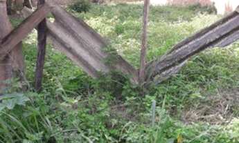 Imagem: Terreno em cabuçu/NI