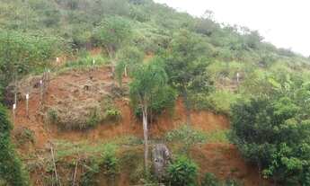 Imagem 4: Terreno em Candelaria