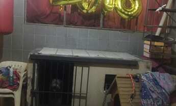 Imagem 3: CASA ASSOBRADADA - JARDIM SABARÁ - SP