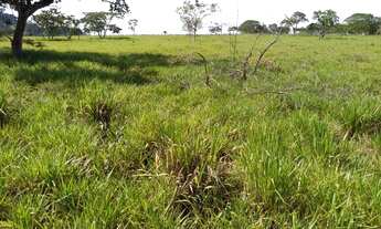 Imagem 3: Fazenda 103 Alqueires em Minas Gerais