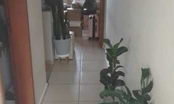 Imagem 4: Sobrado Invertido na Planejada II