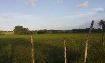 Imagem 2: Terreno Terreno / lote com venda por R$15.000