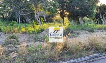 Imagem 4: Terreno à venda, 500 m² por R$ 230.000,00 - Paraiso Pataxos - Porto Seguro/BA