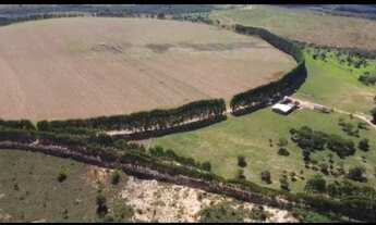 Imagem 4: 156 hc com 92 hc de pivor apenas 170 km de bh