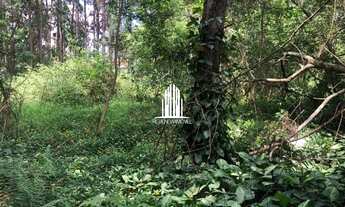 Imagem 5: Terreno Industrial em Cotia