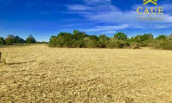 Imagem: Terrenão 1000m², plano, luz na frente!!!