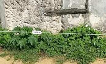 Imagem 7: Vende-se salão comercial + terreno!!