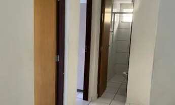 Imagem 7: Apartamento para aluguel tem 51 metros quadrados com 2 quartos em Turu - São Luís - MA