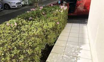 Imagem 3: São Paulo - Casa Padrão - Vila São Silvestre