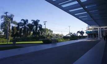 Imagem: Apartamento de 1 quarto para alugar no bairro