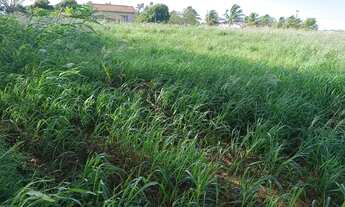 Imagem 4: Vende- se excelente chácara 300mts do asfalto