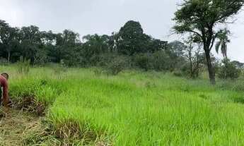 Imagem 2: Vende-se terreno com ótima topografia