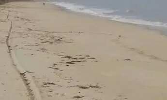 Imagem 2: Aluga Apartamento com 2 dormitórios