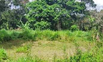 Imagem 2: Terreno em São Lourenço da Serra