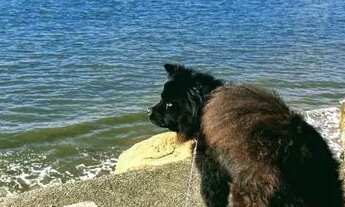 Imagem 5: CASA / SOBRADO PRAIA