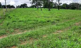 Imagem 7: Vendo fazenda no município de Formoso GO